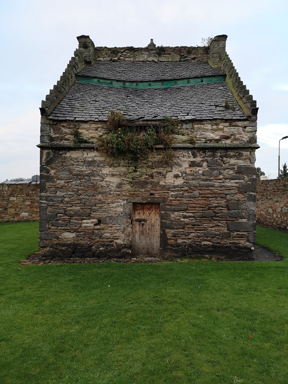 This image has an empty alt attribute; its file name is ppdoo.jpg